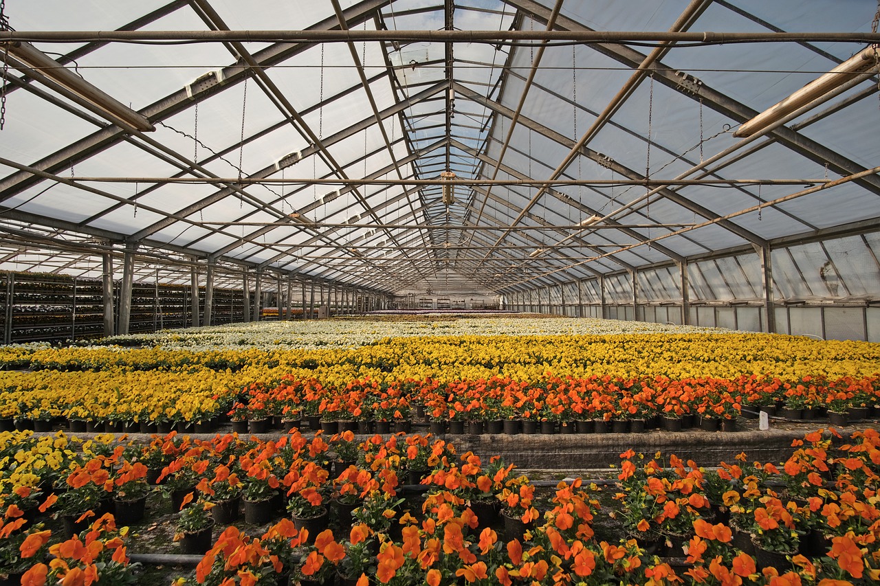 Flower Operation