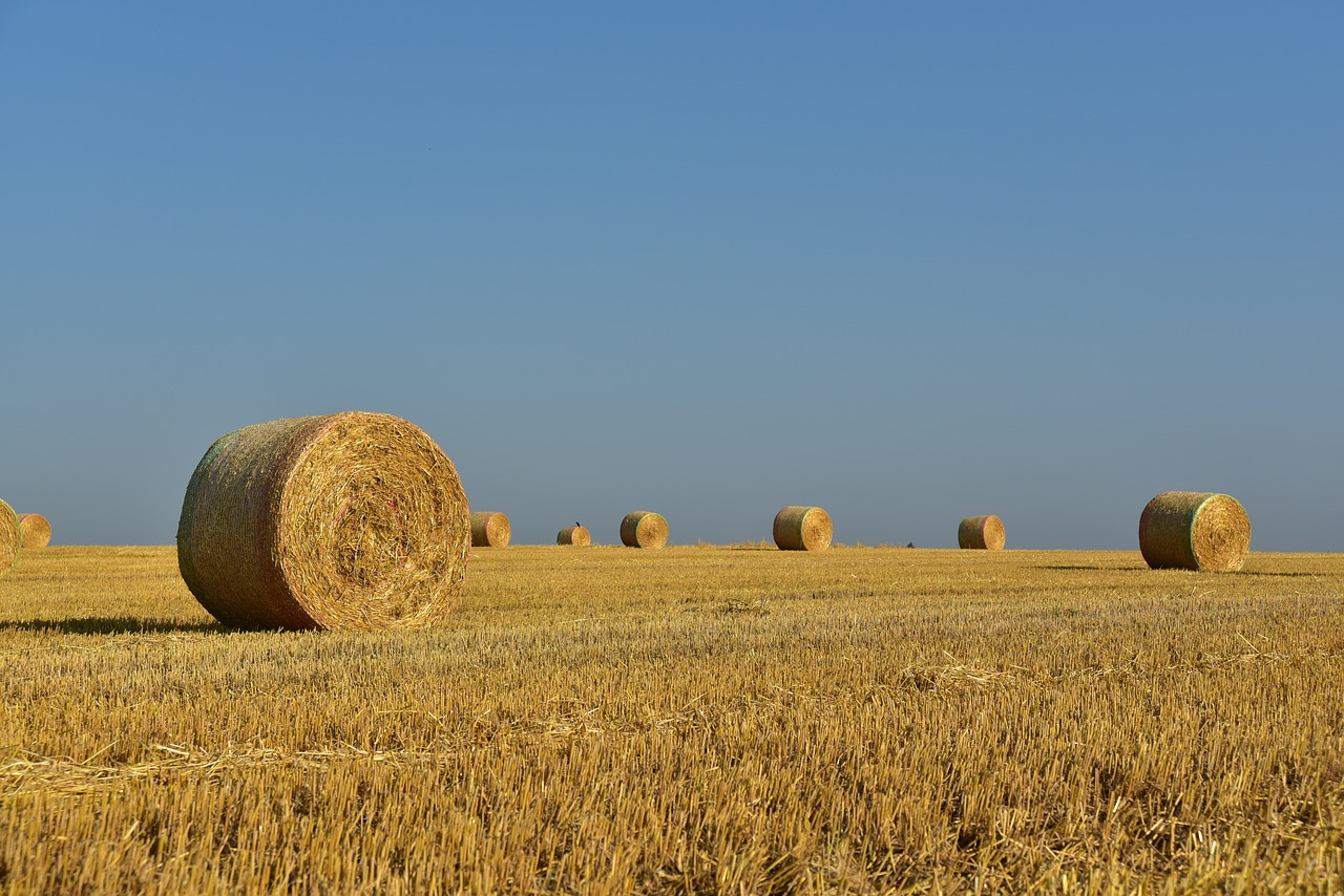 Commercial Hay Production